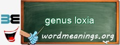 WordMeaning blackboard for genus loxia